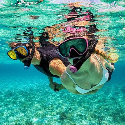 Snorkel Sets