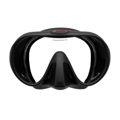 Hollis M1 Mask