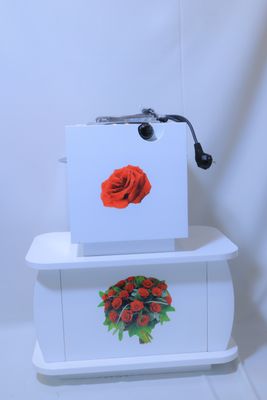 white with flower image rokbet with fernelo