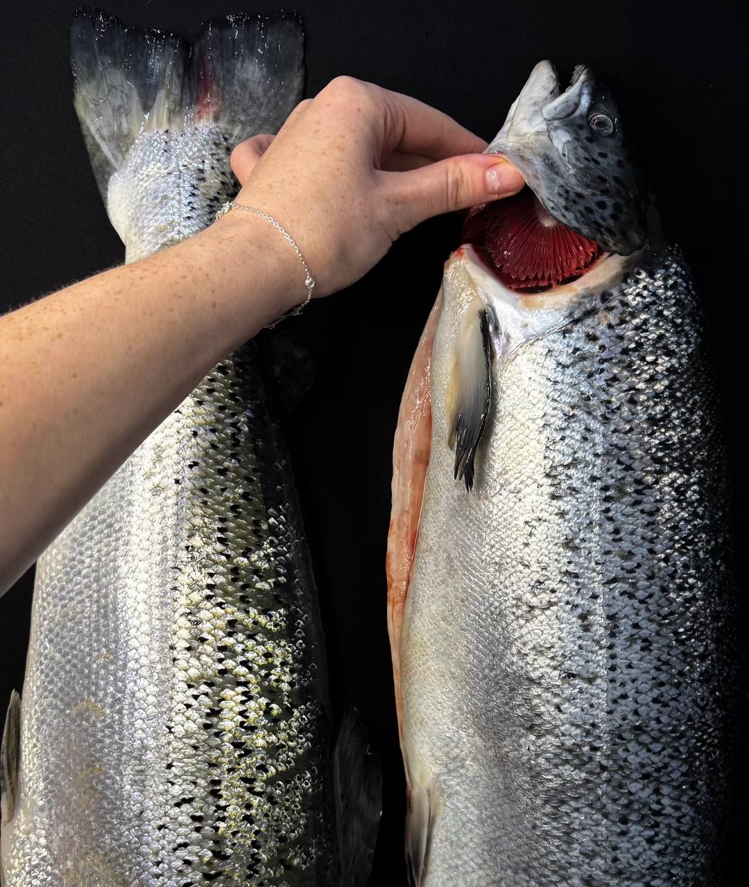 Потрошённый лосось целый, охлаждённый (Норвегия) 4 кг