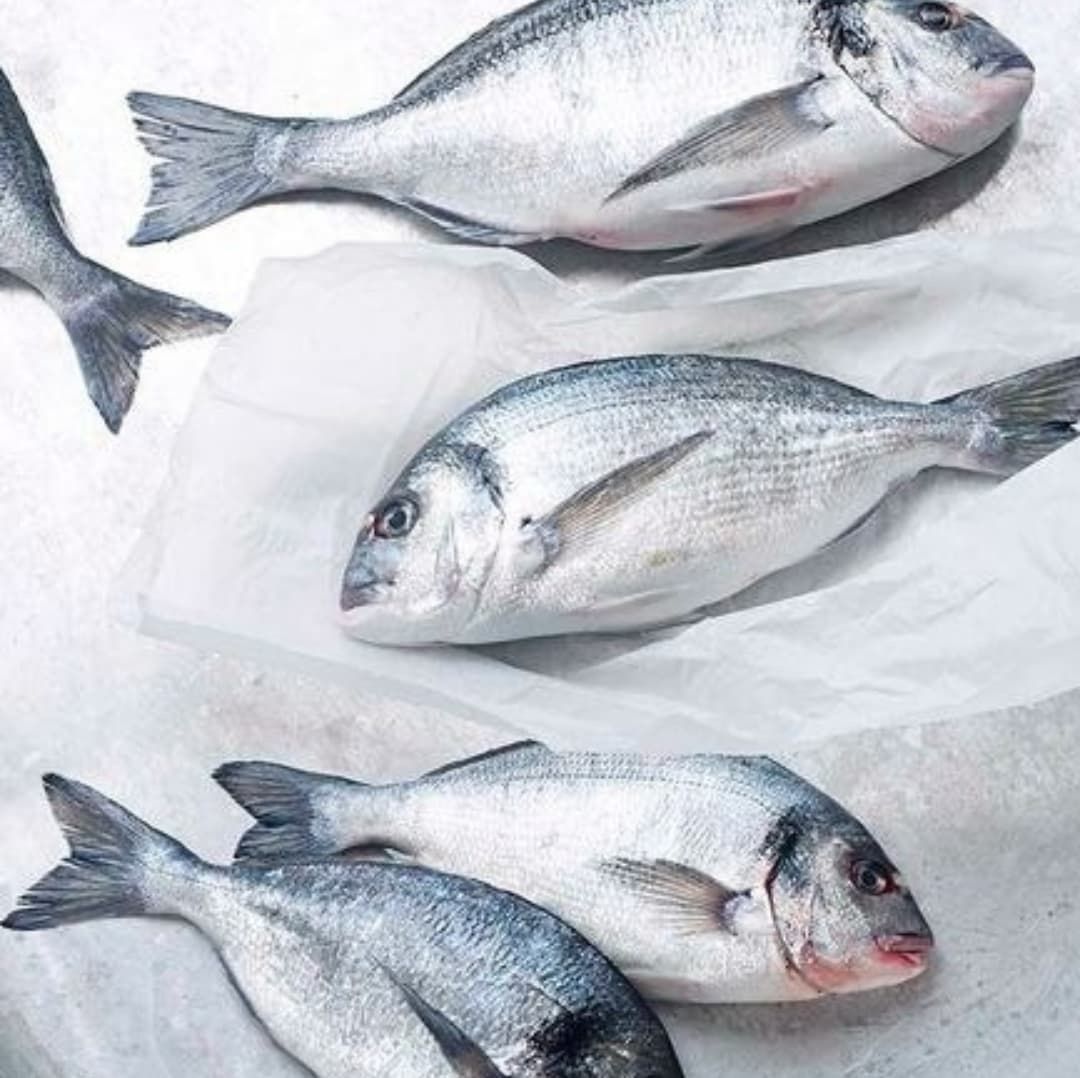 Дорадо (охлаждённая) 300гр