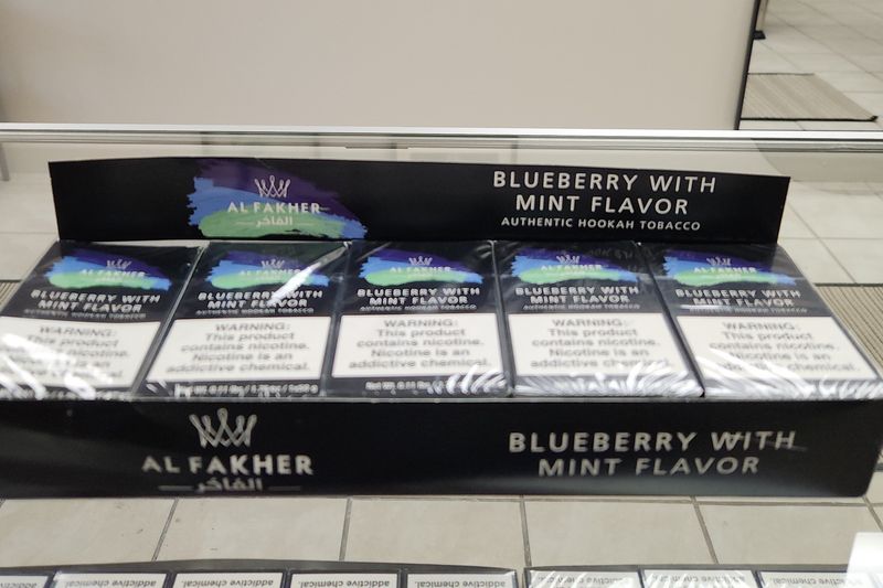 Al Fakher 50g - Blueberry with Mint