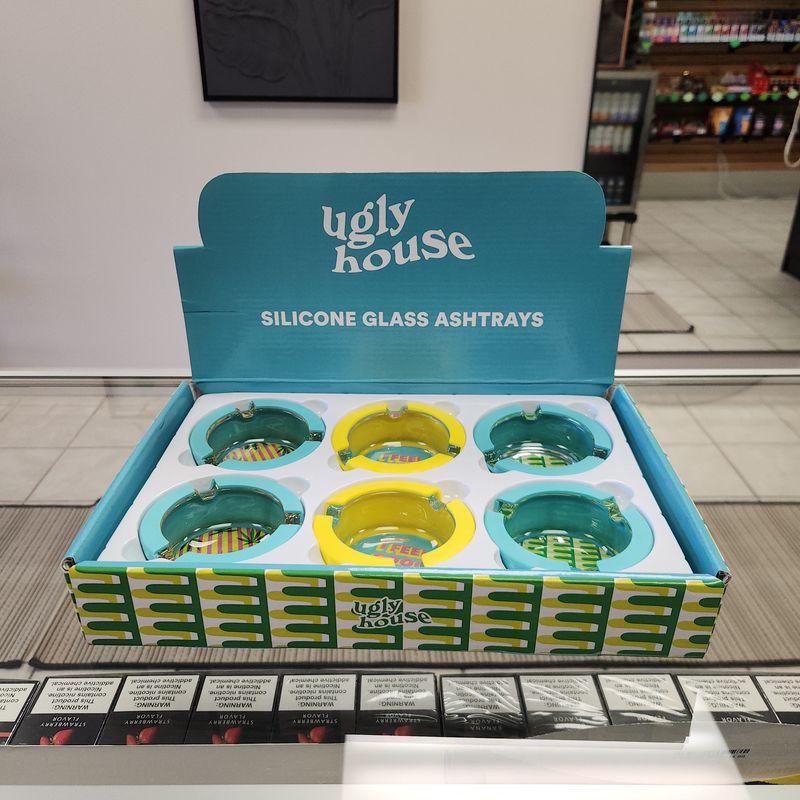 Ugly House - Silicone and Glass Ashtray