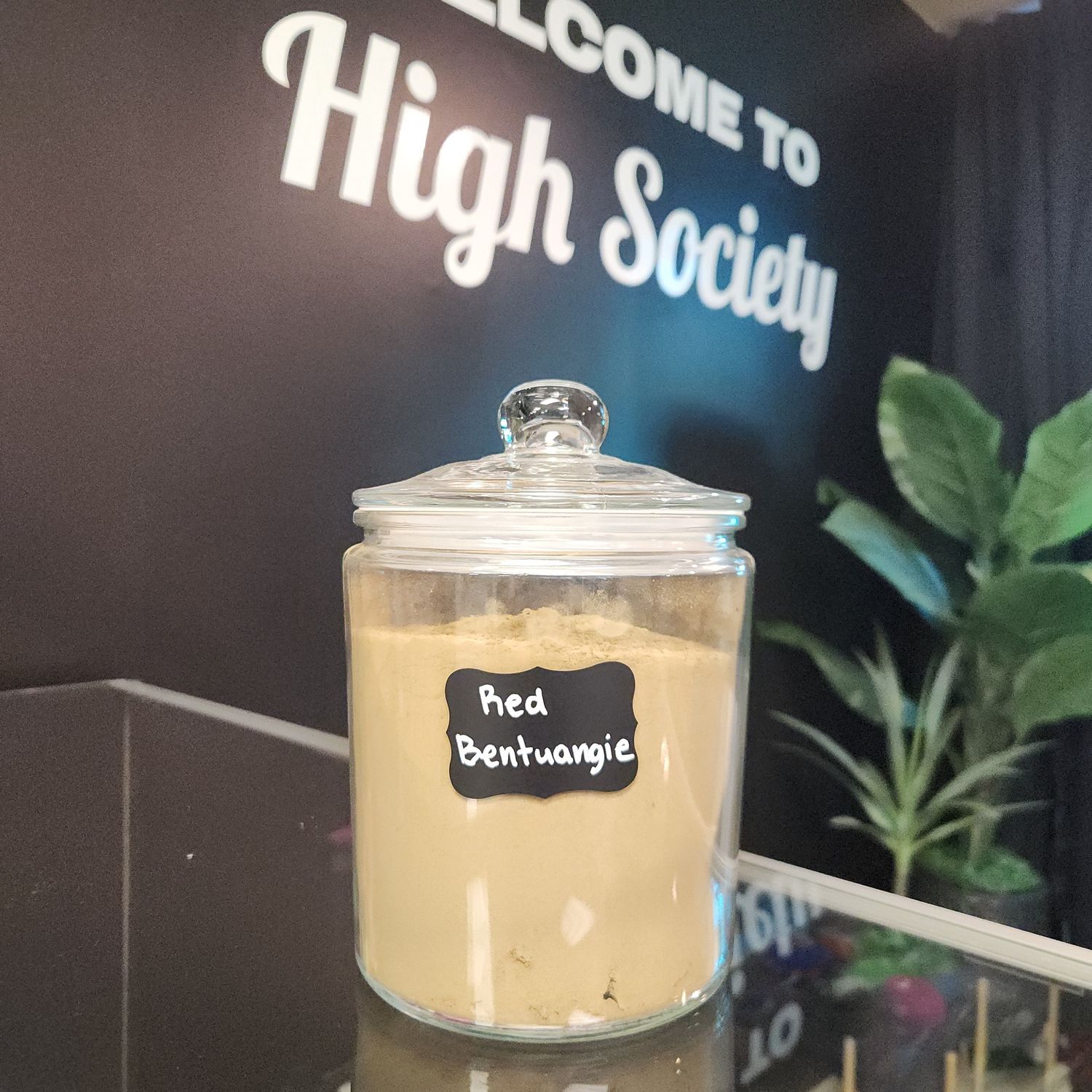 Kratom Powder - Red Bentuangie