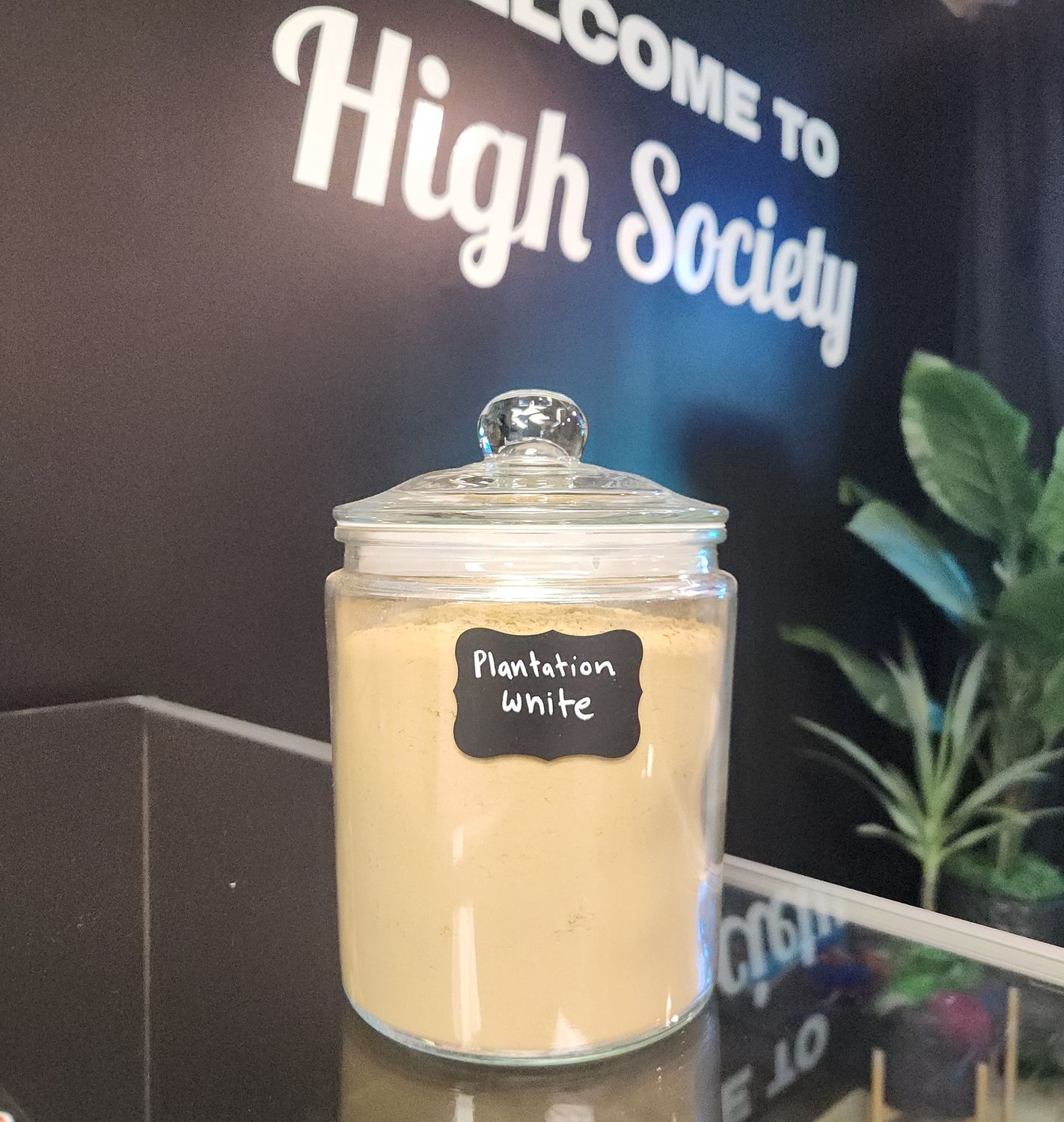 Kratom Powder - Plantation White