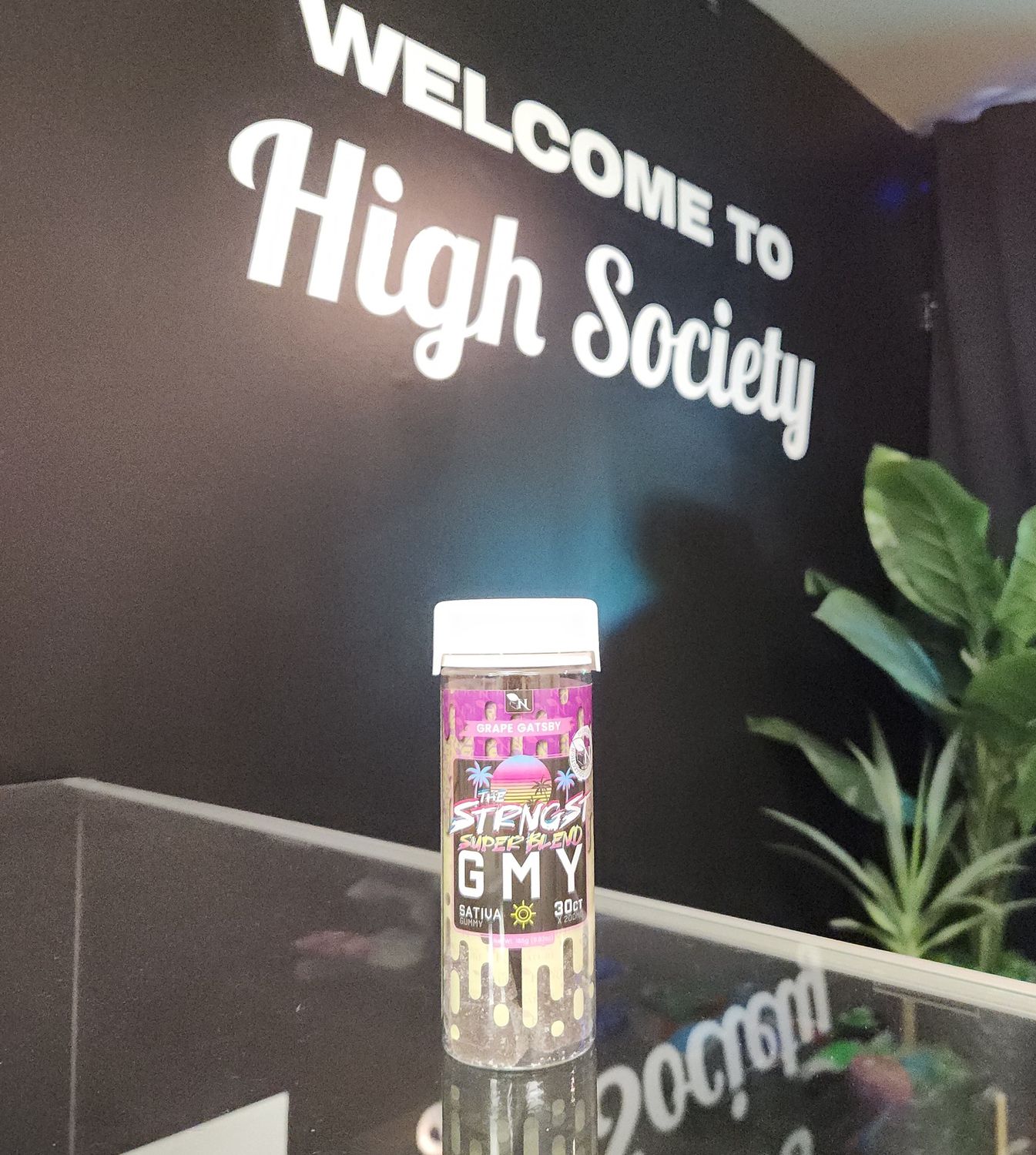 GMY 30 Count - Grape Gatsby