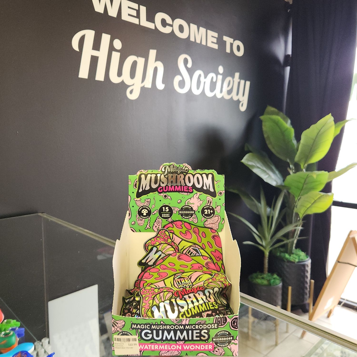 Mushroom Gummies - Watermelon Wonder