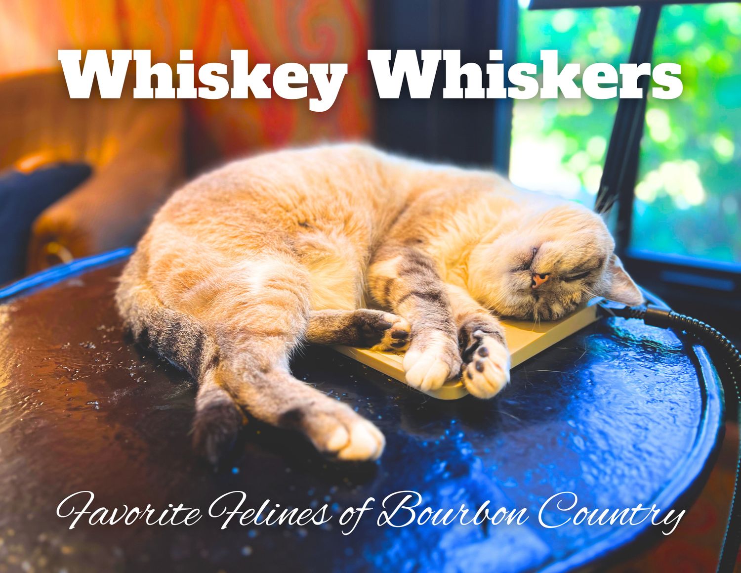 Whiskey Whiskers (Cat Calendar)