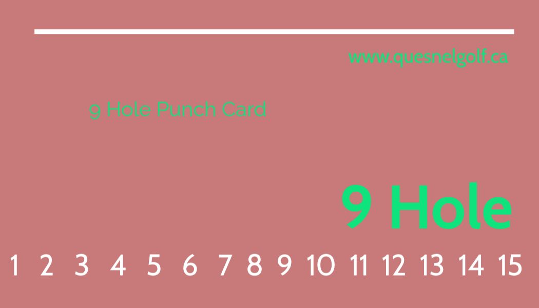 punch card 9 hole 15 game