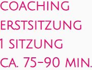 Coaching Erstsitzung  1 Sitzung ca. 75-90 min.
