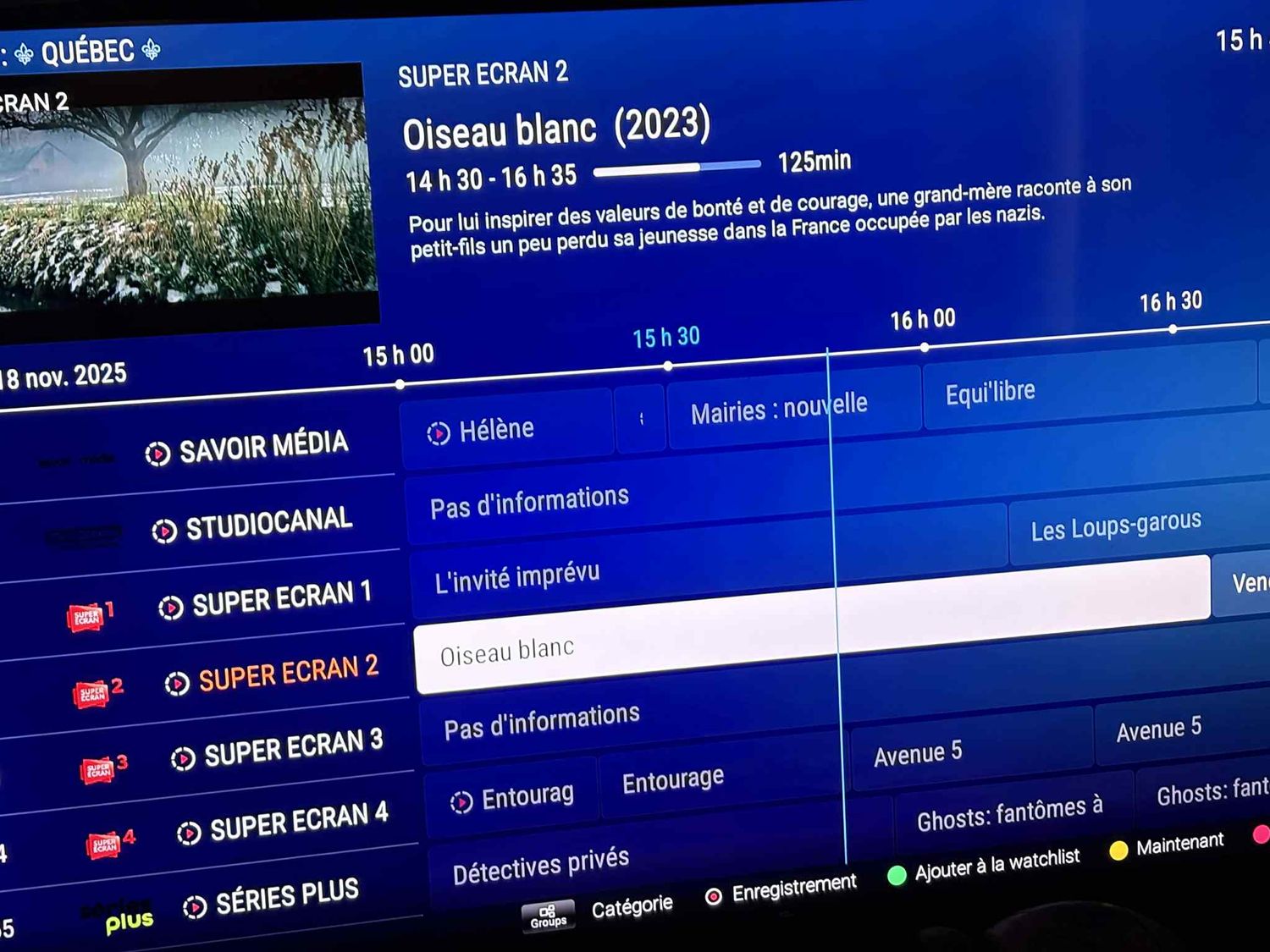 Abonnement Serveur Raccoon