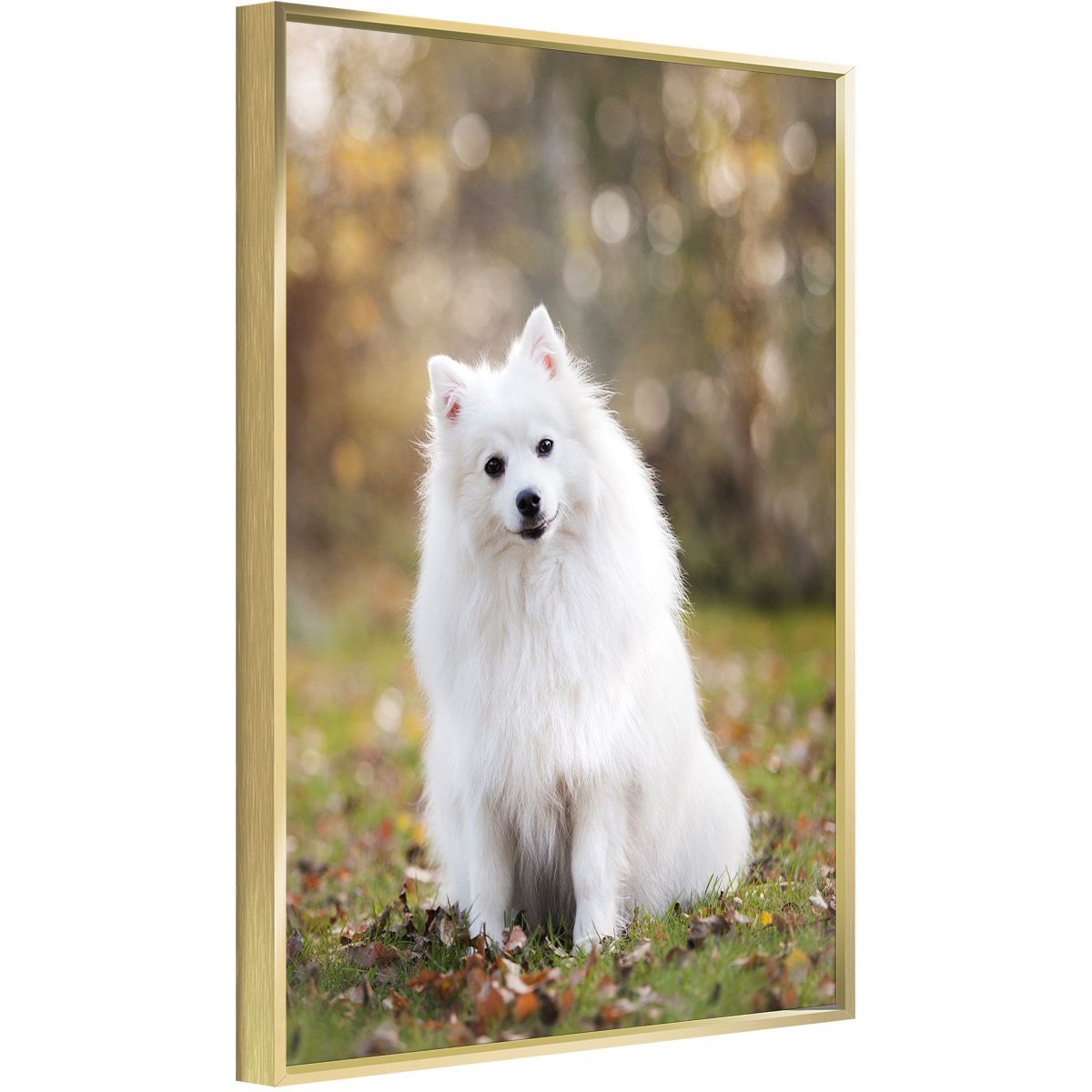 Custom Canvas Photo Print, Aluminum Framed Wall Art �C 16x24