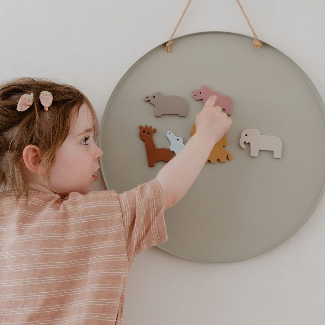 Magnetic safari animals