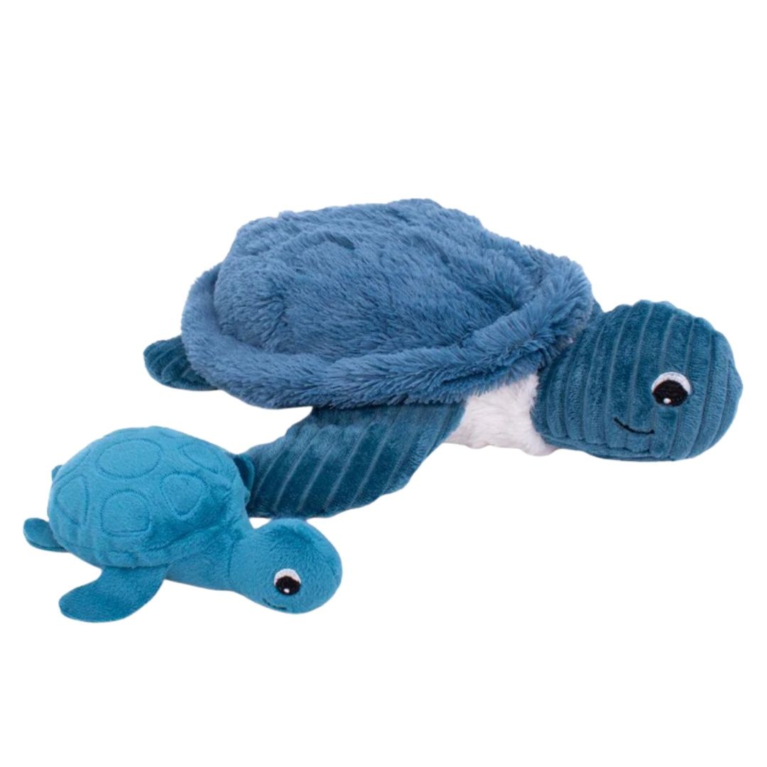 Turtle blue
