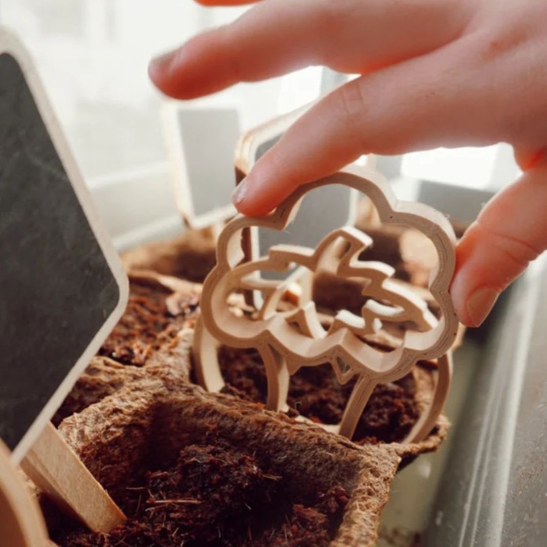 Grennn uitsteker groente