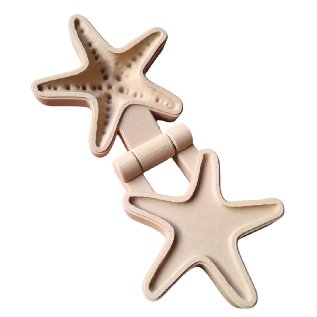 Kiddi klei- en zand mal zeester