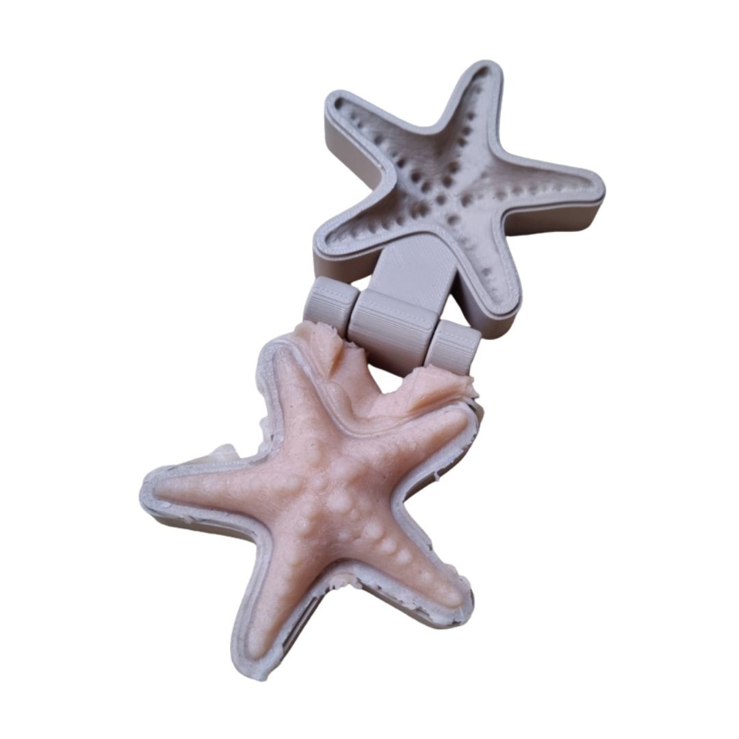 Kiddi klei- en zand mal zeester