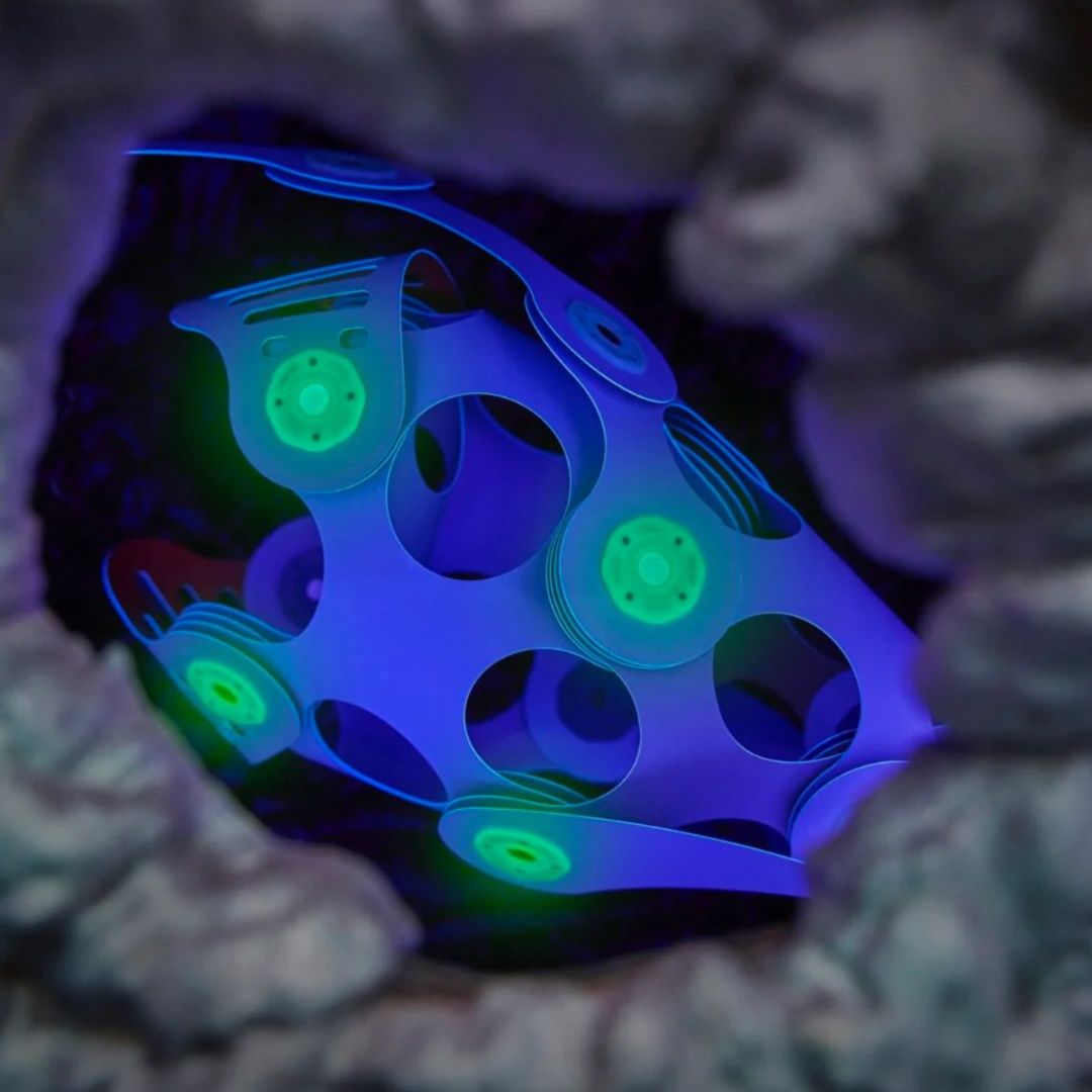 Clixo Ocean Creatures