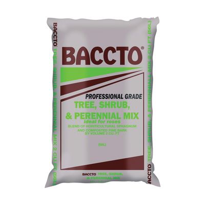 BACCTO TREE, SHRUB, PERENNIAL, 2CF