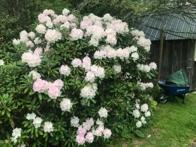 RHODY, COUNTY OF YORK, 27-30"