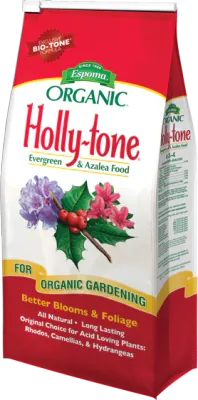 ESPOMA, HOLLY TONE,18#