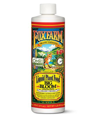 FoxFarm® Big Bloom® Fertilizer 0-0.5-0.7 - 16oz - Concentrate - OMRI Listed