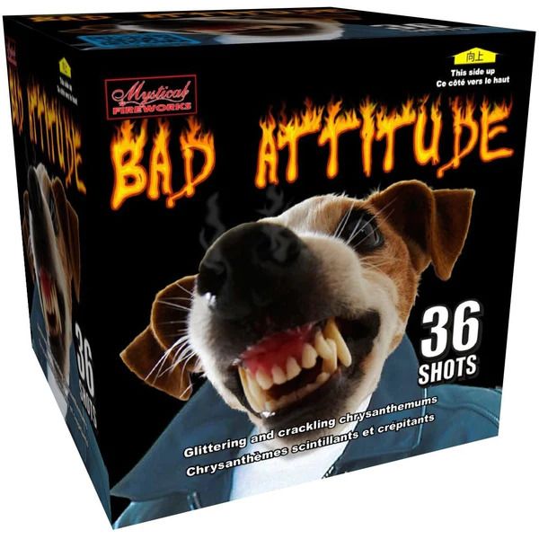 Bad Attitude