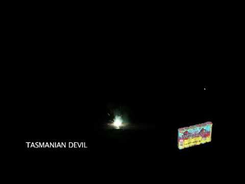 Tazmanian Devil (6pk)