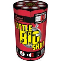 Little Big Shot
