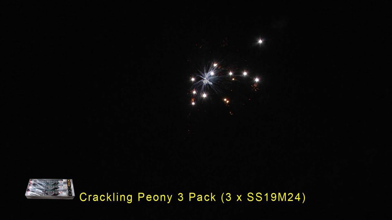 Crackling Peony Pack 3pk
