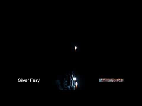 Silver Fairy
