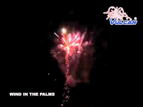 Wind in the Palms