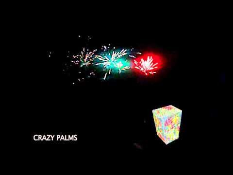 Crazy Palms