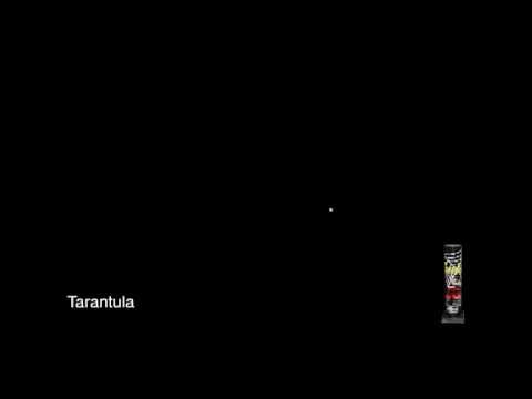 Tarantula
