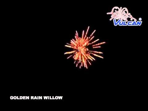 Golden Rain Willow **New 2025**