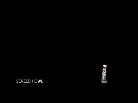 Screech Owl 10Pk
