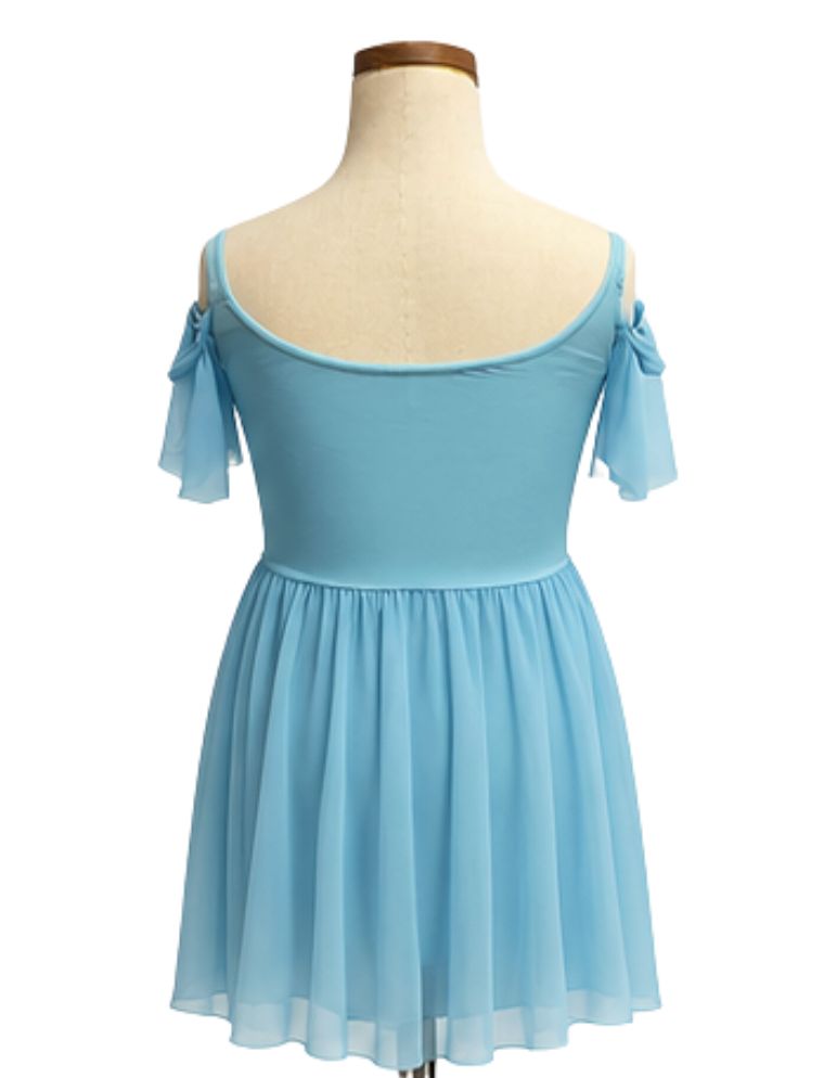 Drop Down Mesh Short Sleeve Lyrical Dress