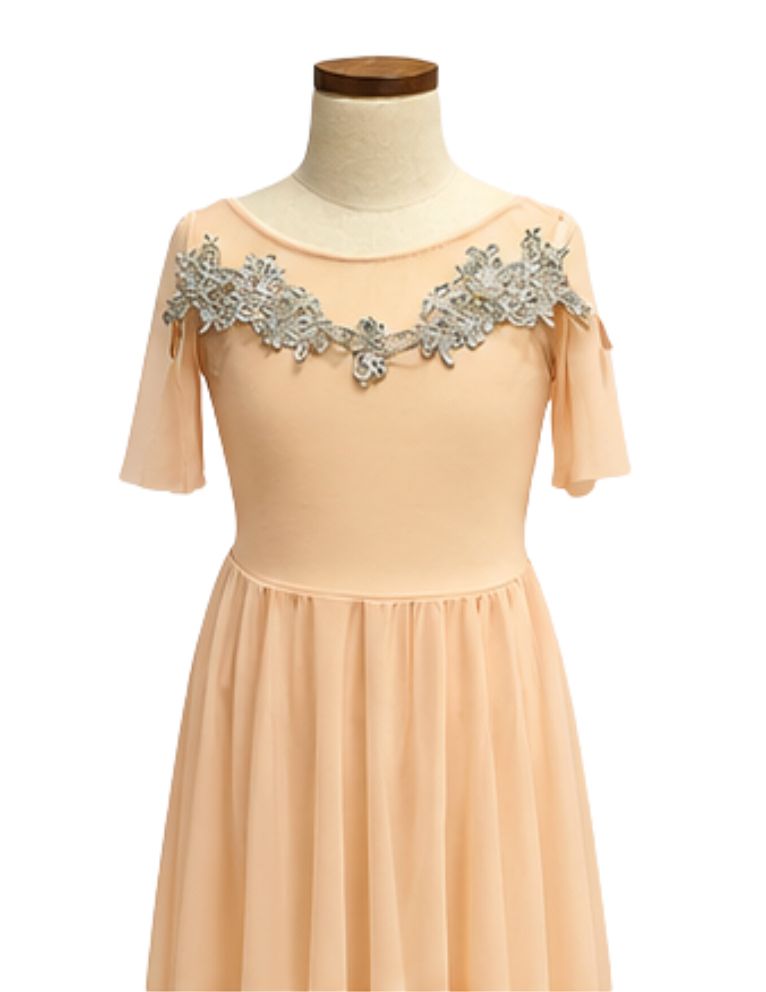 Drop Down Mesh Short Sleeve Lyrical Dress