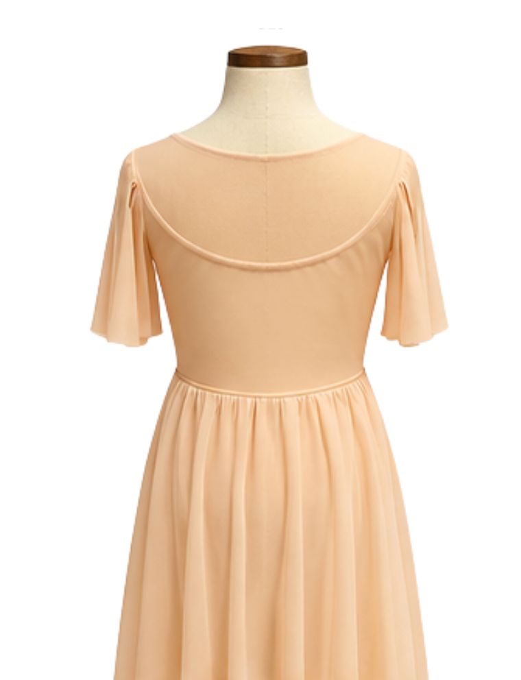 Drop Down Mesh Short Sleeve Lyrical Dress