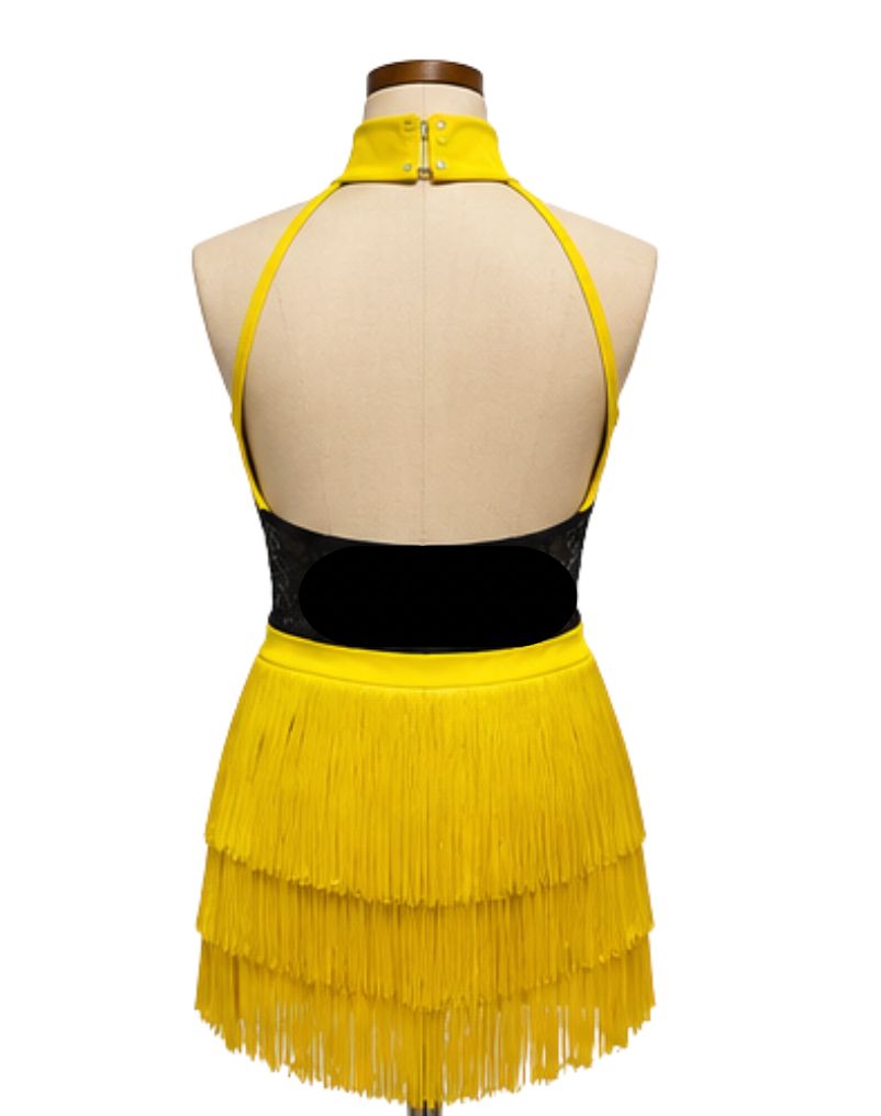 Fringe &amp; Sequins Halter Jazz Costume