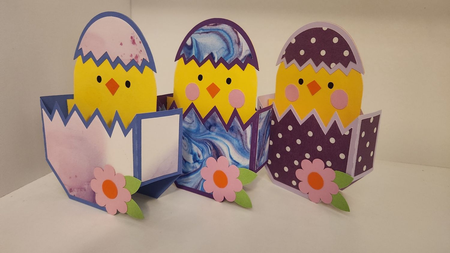 Chicks in cracked egg