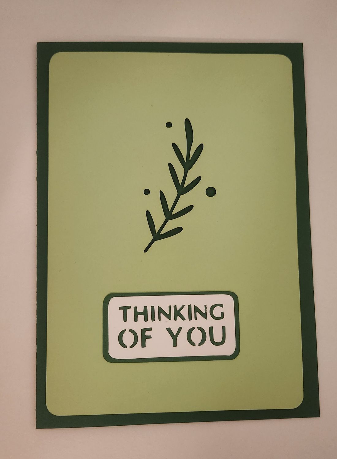 Thinking of you - Olive branch