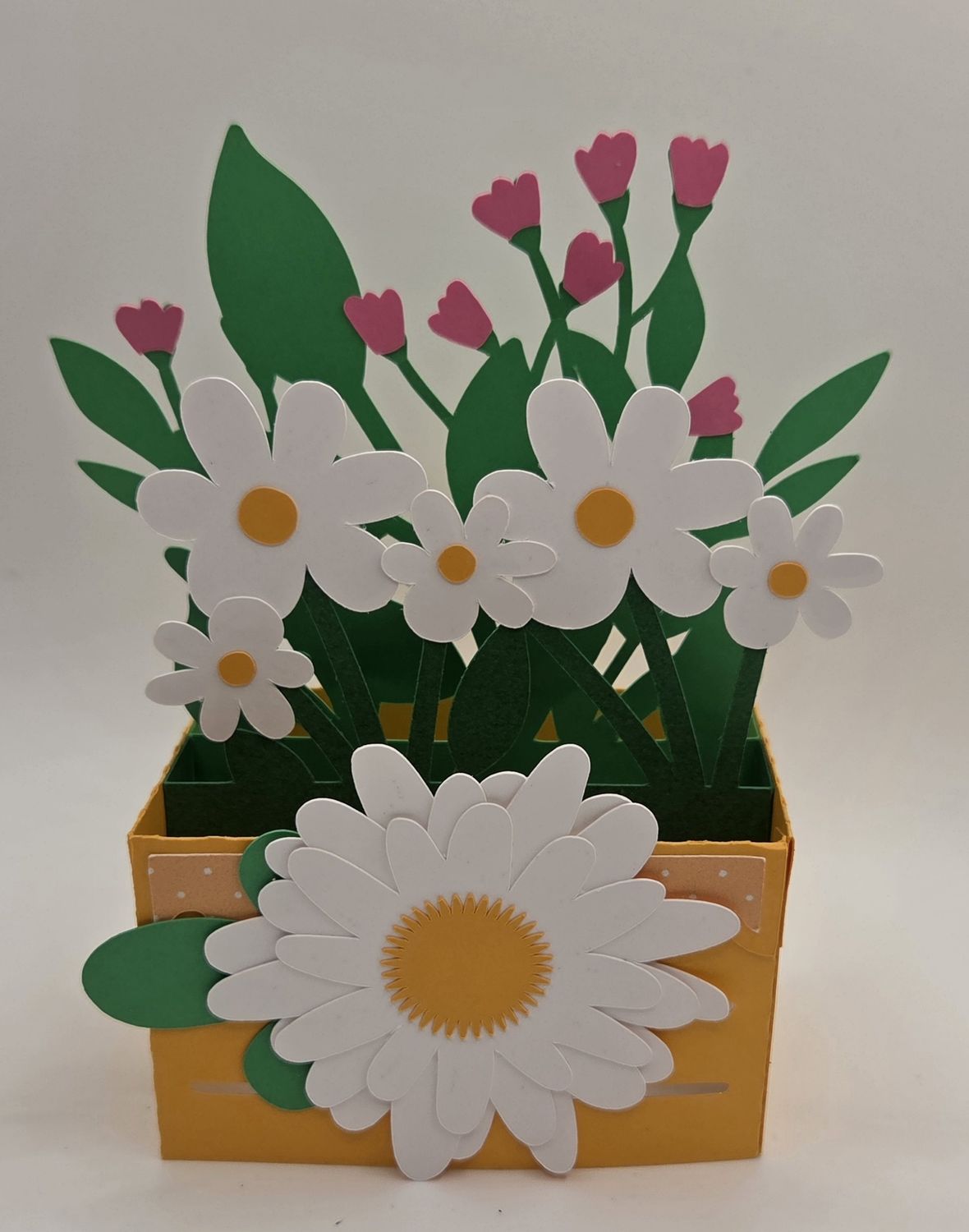 Daisy box card