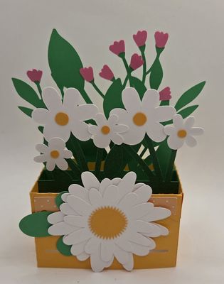 Daisy box card