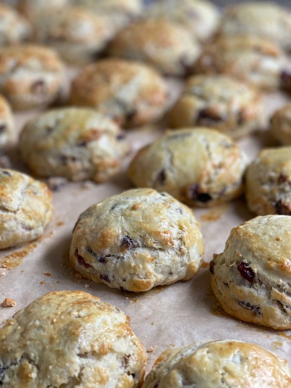 Scones, Craisin, Half Dozen