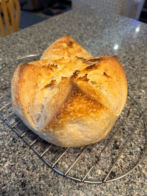 Sourdough Loaf