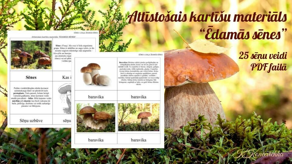SĒNES: Ēdamās sēnes, PDF