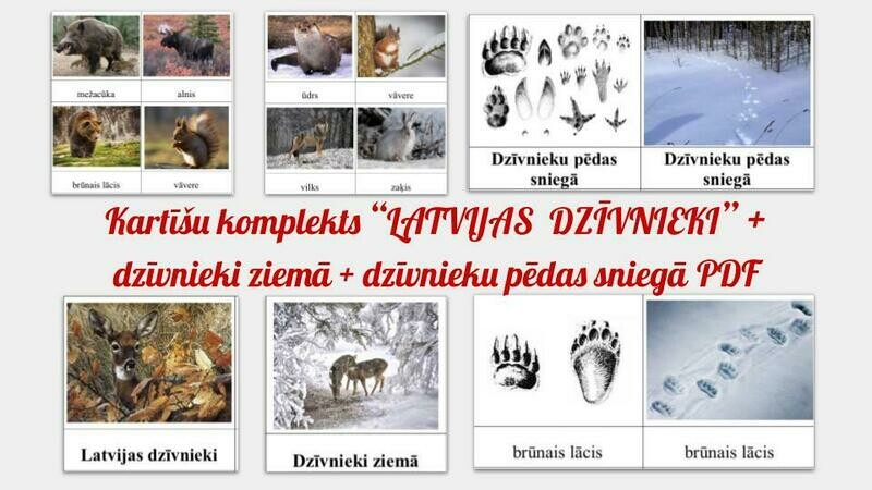 Latvijas dzīvnieki, PDF