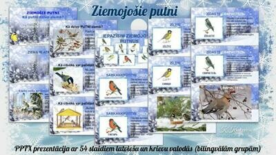 Ziemojošie putni/ Зимующие птицы PPTX, LV+RU