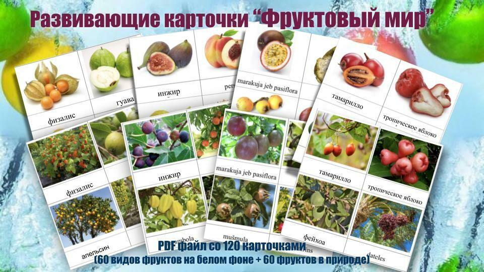 Фрукты, PDF